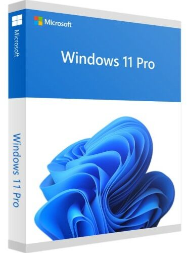 Microsoft Windows 11 Professional / FVAT23%