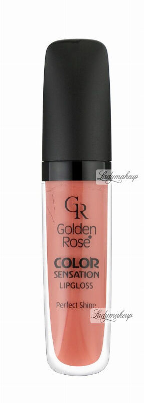 Golden Rose - COLOR SENSATION LIPGLOSS - Błyszczyk do ust - 117