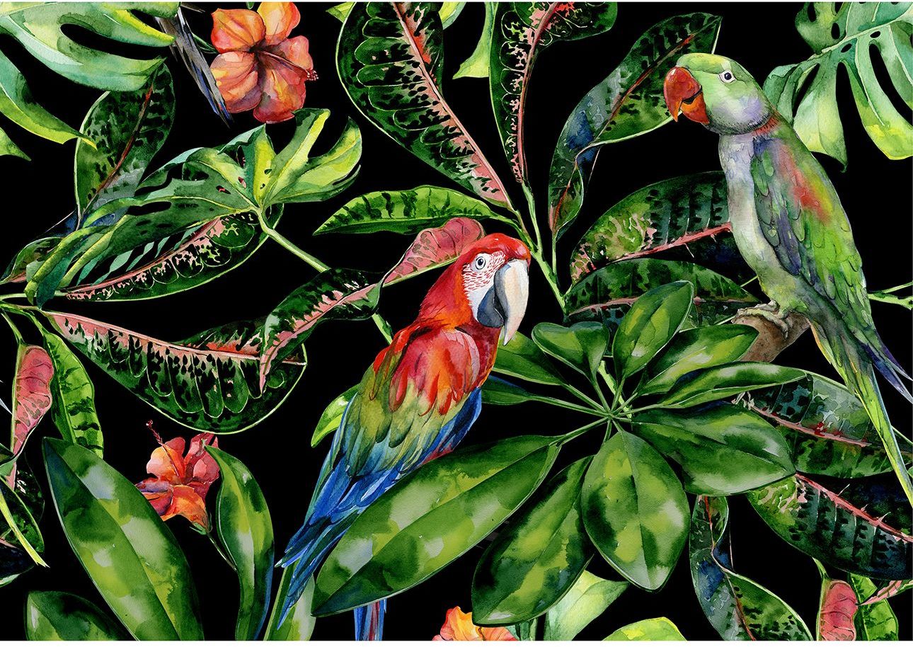 Obraz na płótnie Tropical Birds, 70 x 50 cm
